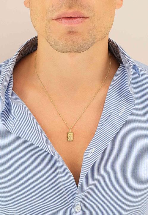 Immagine prodotto Muau Acquario (750 platino)