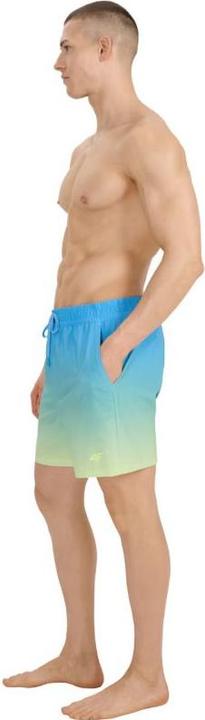 Image du produit 4F Herren-Badeshorts (M)