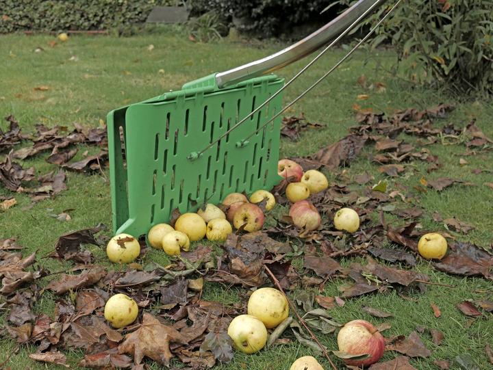 Actual product image Laubfix Pro