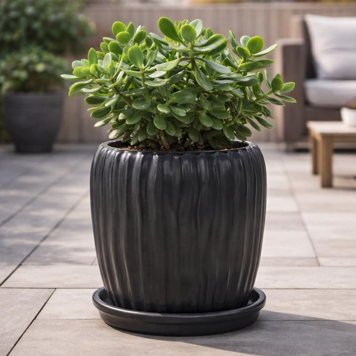 Actual product image Jaco Barro