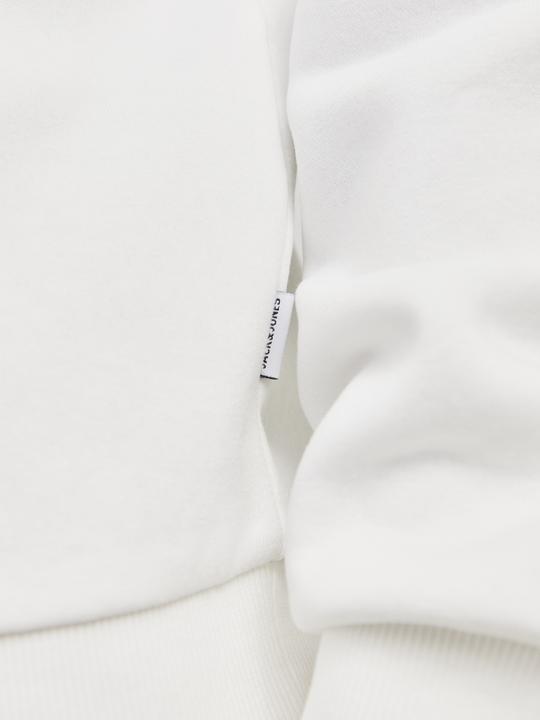 Immagine prodotto Jack & Jones Jjebradley Sweat Crew Noos (L)