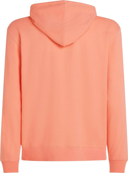 Actual product image O'Neill Logo Hoodie (S)