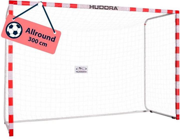 Actual product image Hudora Gate Allround 300