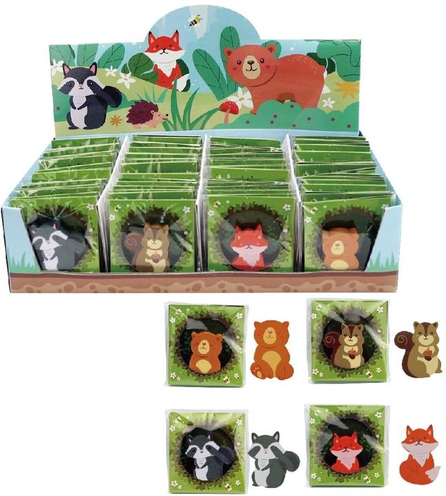 Image du produit Roost Gomme arc-en-ciel FAE-001