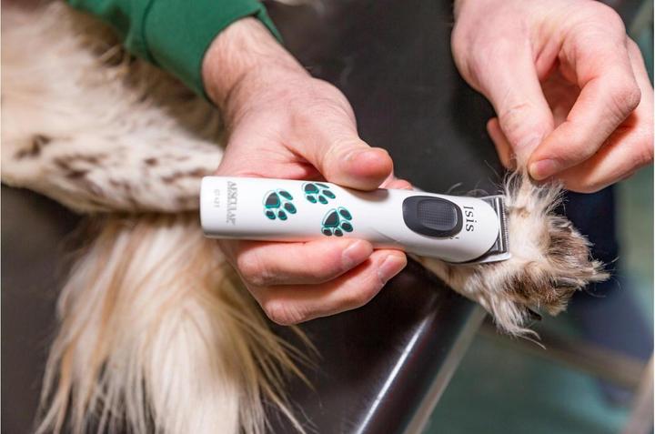 Actual product image Aesculap Isis (Dog)