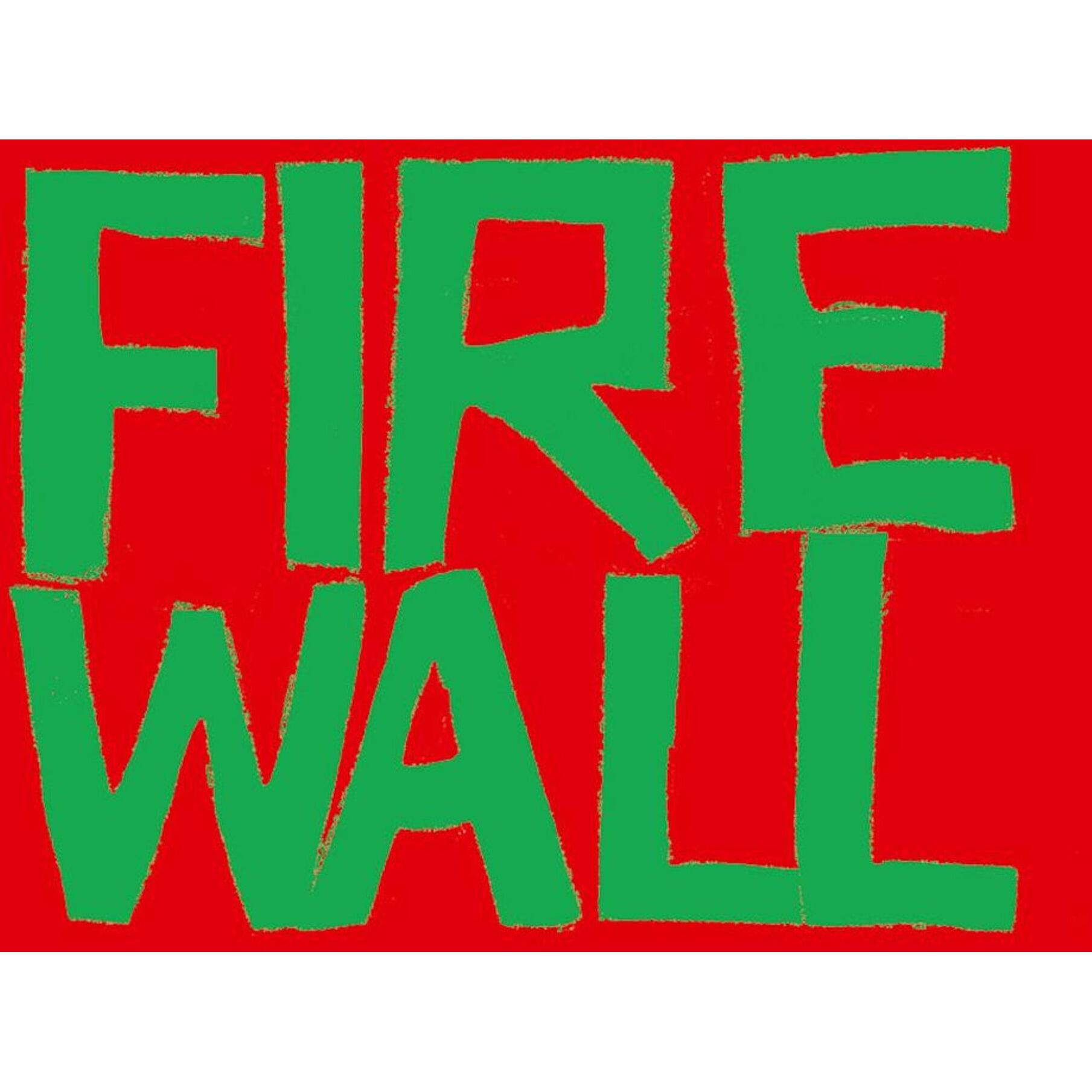 Thumbnail - Firewall, Kinderbücher von Erin Jade Lange