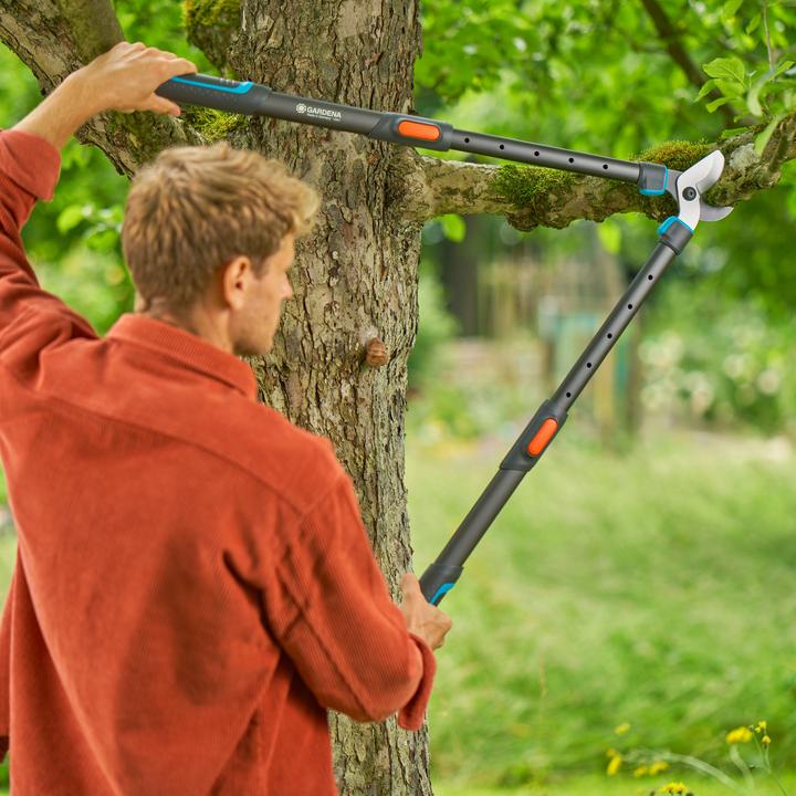 Image du produit Gardena Astschere TeleCut Pro L (grau/türkis, 65cm - 90cm)
