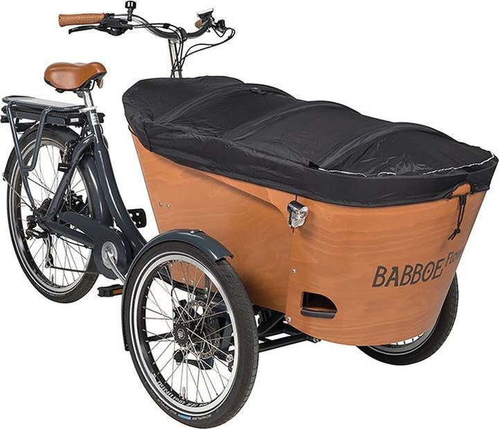 Actual product image Babboe Carve/Flow