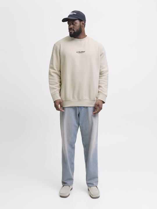 Produktbild Jack & Jones Plus Size Gedruckt Sweatshirt Sweatshirt