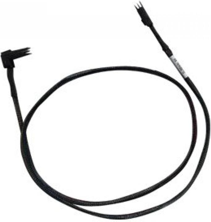 Broadcom LSI Internes SAS-Kabel (80 cm, SAS)