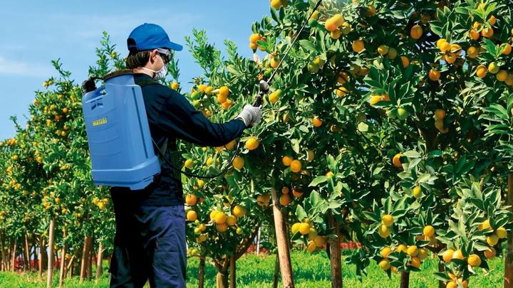 Actual product image Matabi Spray backpack Evolution 84941 16 L (16 l)