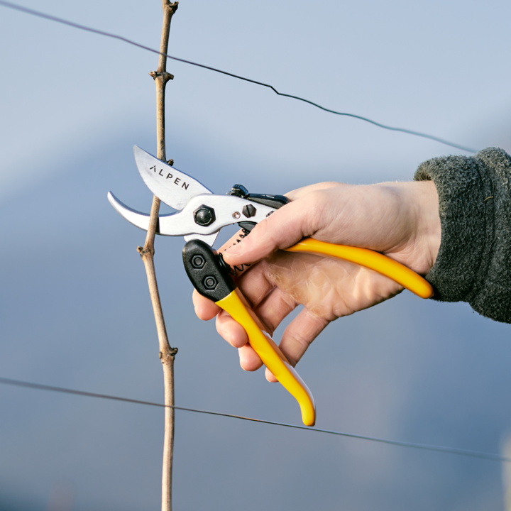 Actual product image Alpen Swiss Tools Alpen GELBHORN 150 secateurs