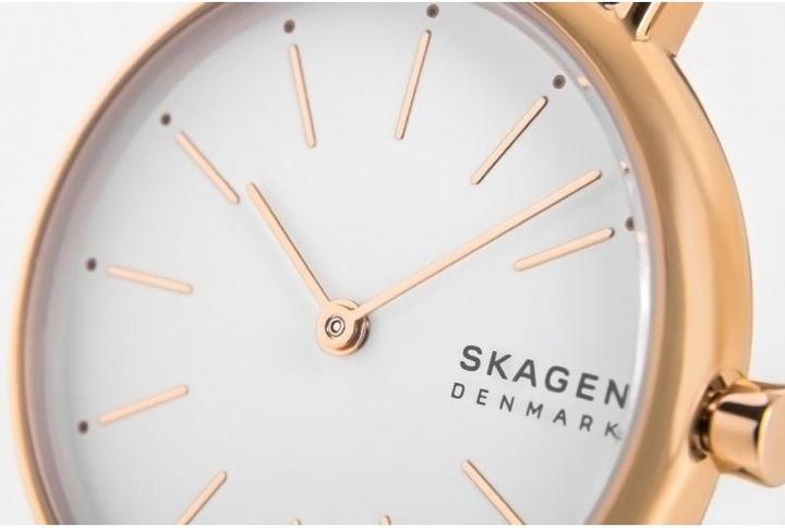 Image du produit Skagen Signature (Montre avec pierre précieuse, 30 mm)