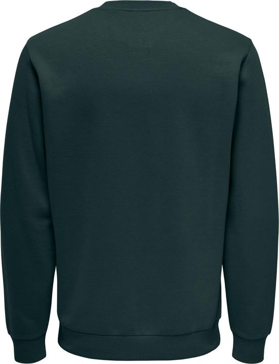 Produktbild Only & Sons Onsceres Crew Neck Noos (M)