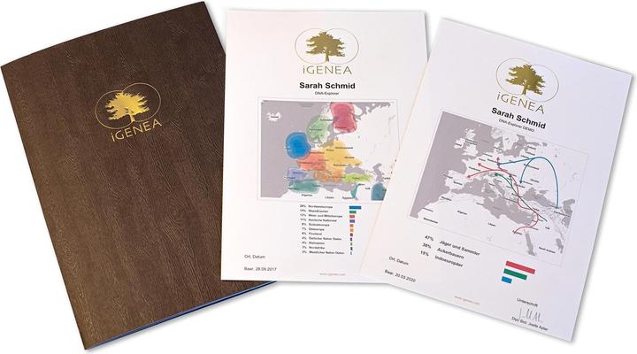 Image du produit iGenea Analyse d'origine par ADN Premium