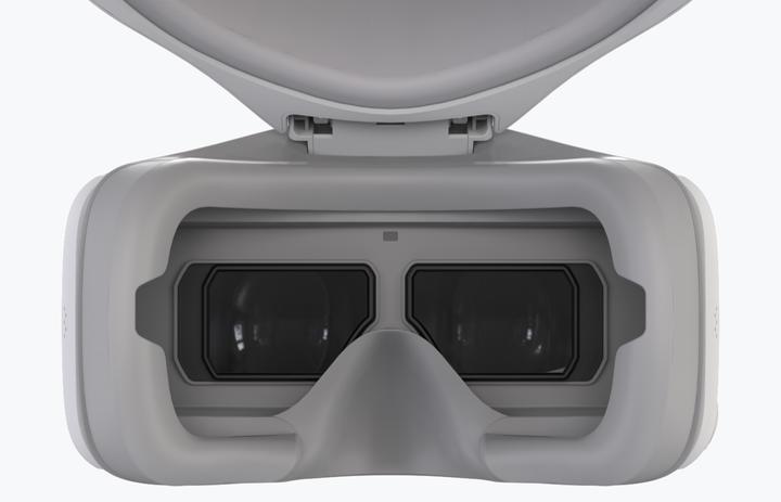 Actual product image DJI Goggles