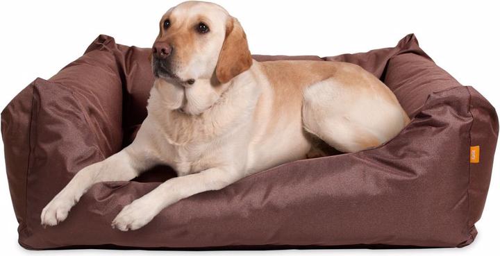 Actual product image Karlie Dreambay (Dog)
