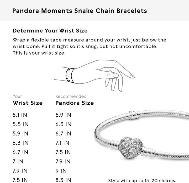 Actual product image Pandora Bracelet (19 cm, Silver)