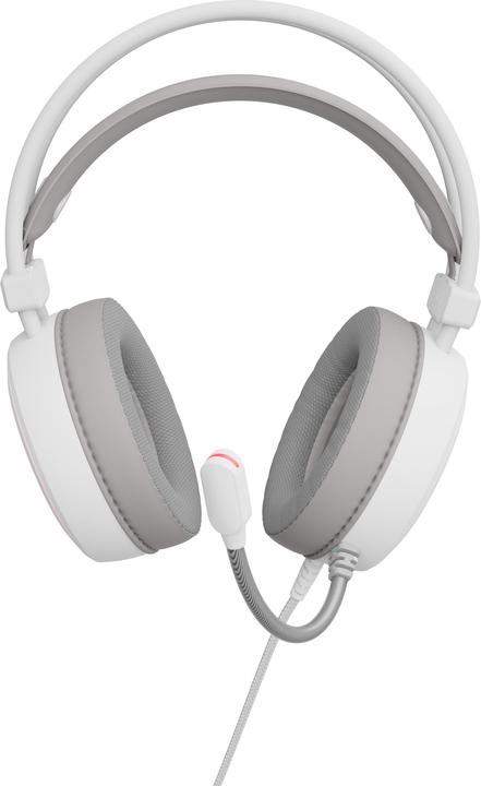 Actual product image Genesis Gaming headset with microphone NEON 613 (Cable)