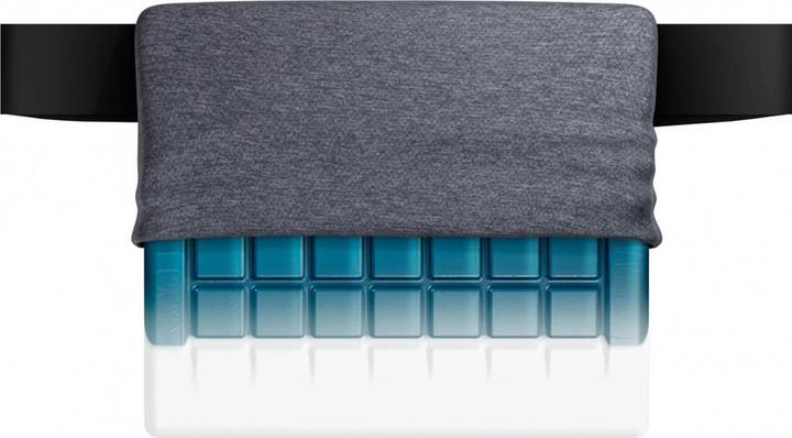 Actual product image Technogel Lordosenstütze (31 x 26 x 6 cm)