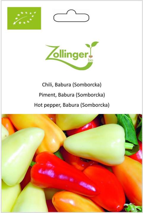 Zollinger Bio Chili, Babura (Somborcka) (Seedlings)