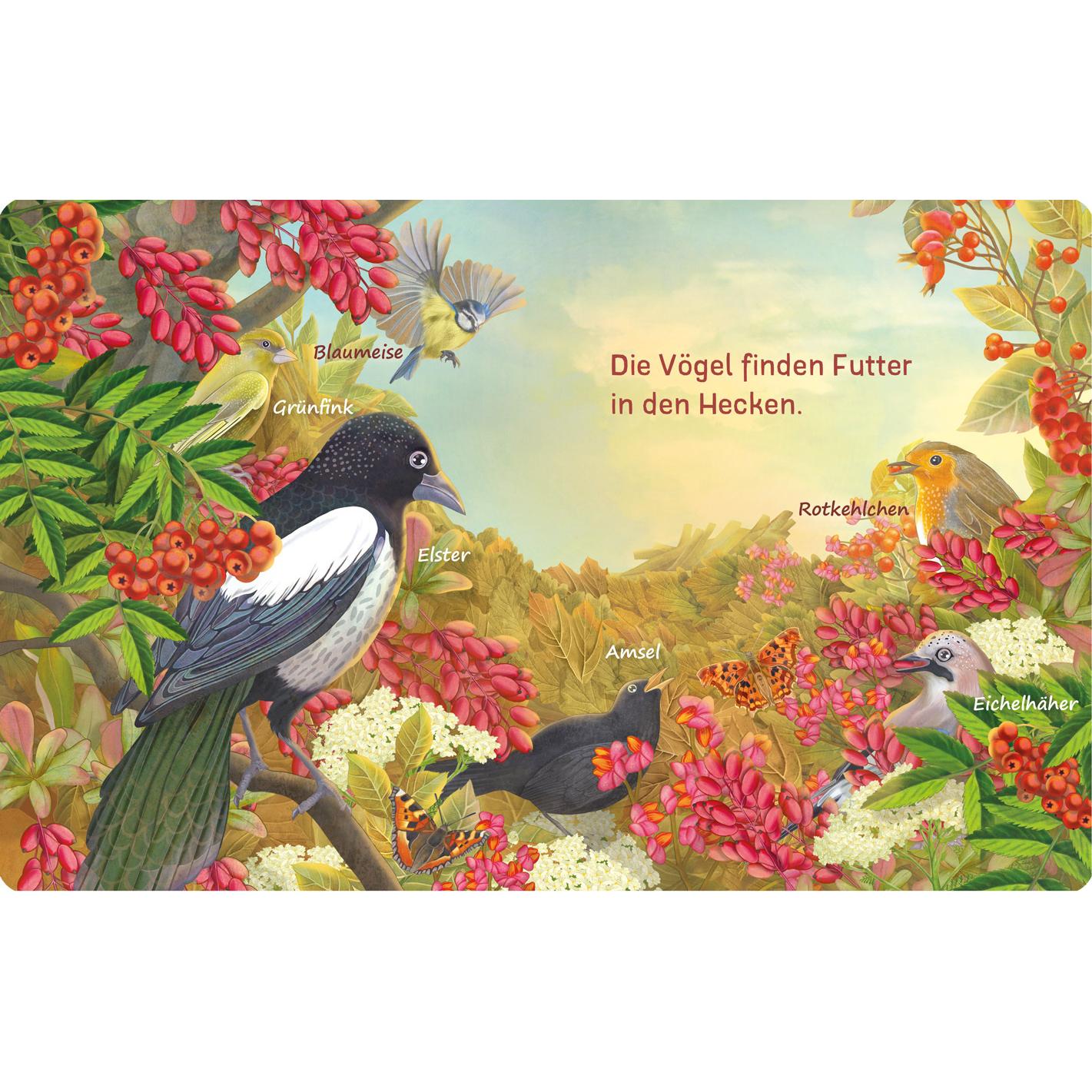 Thumbnail - Es raschelt was im Laub, Kinderbücher von Jana Walczyk