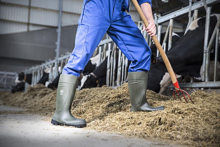 Image du produit Magni Bekina Agrilite Gr. 36 Bottes de sécurité S5 (36)
