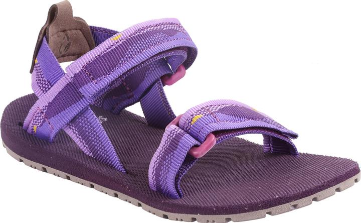 Lila, timna purple