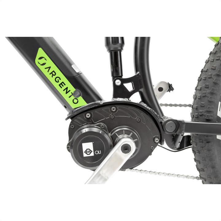 Actual product image Argento Performance Pro, Mountain E-Bike