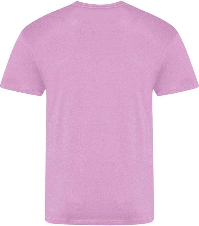 Image du produit Awdis The 100 TShirt (3XL)