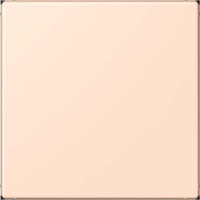 Actual product image JUNG Blind cover