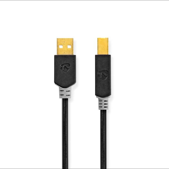 Produktbild Nedis Kabel USB 2.0 A Stecker - B M acho 2.0 m Anthrazit (2 m, USB 2.0)