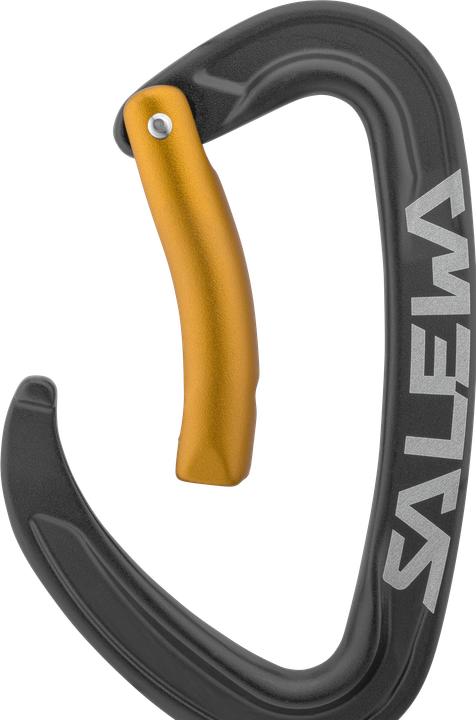 Immagine prodotto Salewa Ortles Bent Carabiner