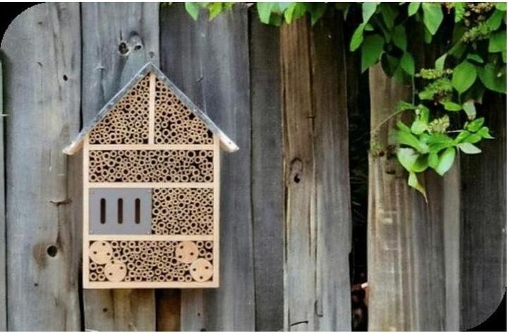 Immagine prodotto Windhager Colony (Api, Coccinelle, Melodie accattivanti, Merletti, Farfalle, Ape, Vespe scavatrice)