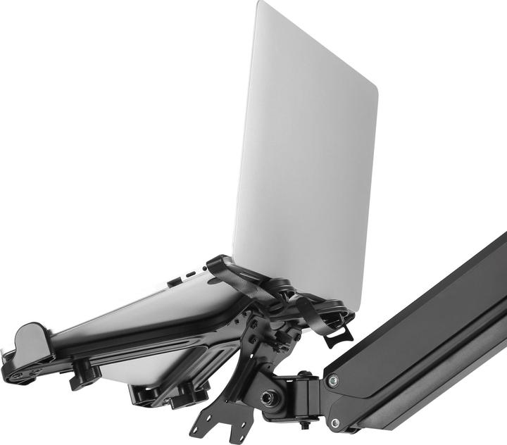 Immagine prodotto InLine ® Supporto per notebook fino a 43,20 cm (17"") con piastra di montaggio VESA 75/100