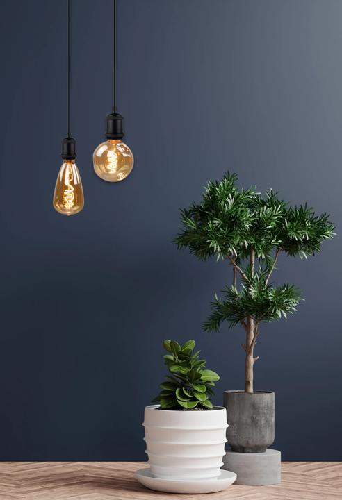 Produktbild Enovalite LED-Filament-Lampe, Caldera Amber, E27, 4W, 265lm, 2200K (E27, 4 W, 265 lm, 1 x)