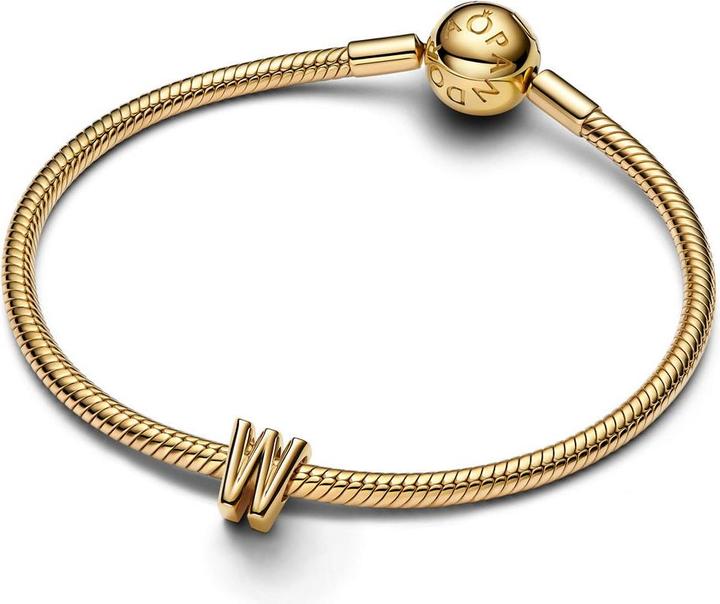 Image du produit Pandora Moments (Métal)