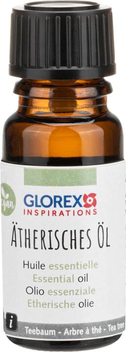 Actual product image Glorex Fragrance oil tea tree 10 ml, natural