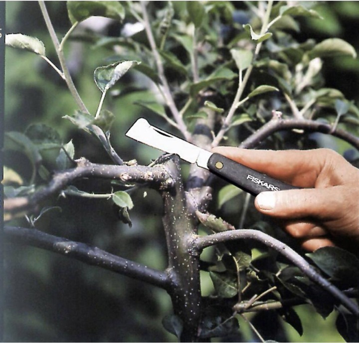 Actual product image Fiskars Garden knife 125900
