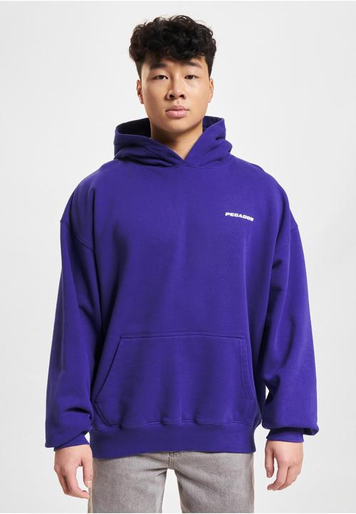 Produktbild Pegador Logo Oversized Hoodies - 155821 (L)
