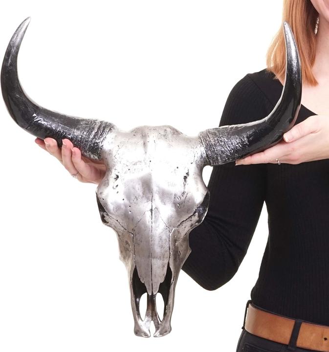 Image du produit Swisshandel24 Crâne de taureau (42 x 15 x 45 cm)