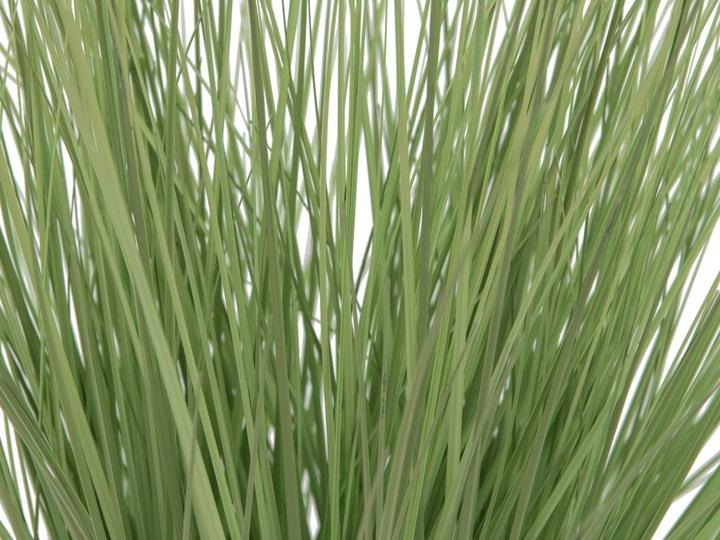 Actual product image Europalms Ornamental grass (65 cm)