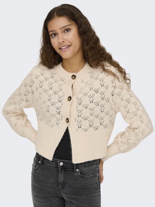 Produktbild JdY JDYAMANDA Strickjacke Strickjacke (XL)