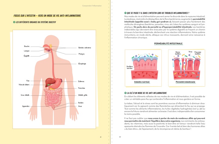 Image du produit Larousse pratique Ma routine anti-inflammatoire (Français, Khayat Sofiane, 2024)
