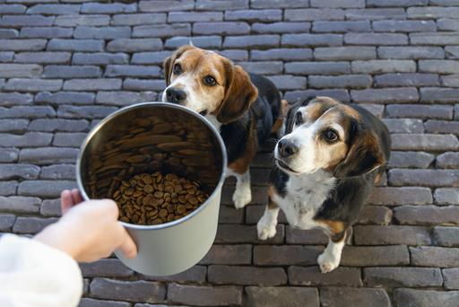 Image du produit Designed by Lotte Conteneur d'aliments pour animaux Canisto