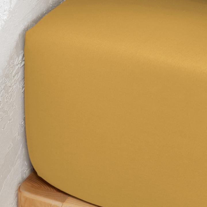 Image du produit La Redoute Interieurs Percale Unie Best (Housse de couette, 160 x 200 cm)
