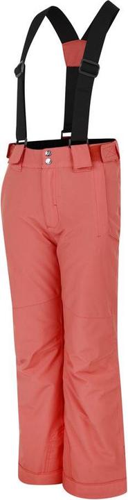 Produktbild Dare2b Outmove II Pant (176)