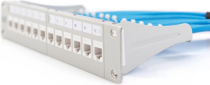 Productafbeelding Digitus Modulair patchpaneel, 12-poorts