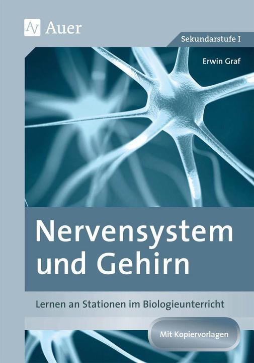 Produktbild Nervensystem und Gehirn (Deutsch, Erwin Graf, 2020)