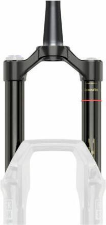 Actual product image RockShox RS Domain2022+